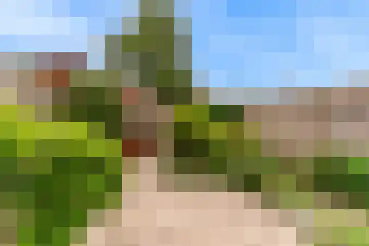 Obool 3 Leiderdorp thumbnail 35