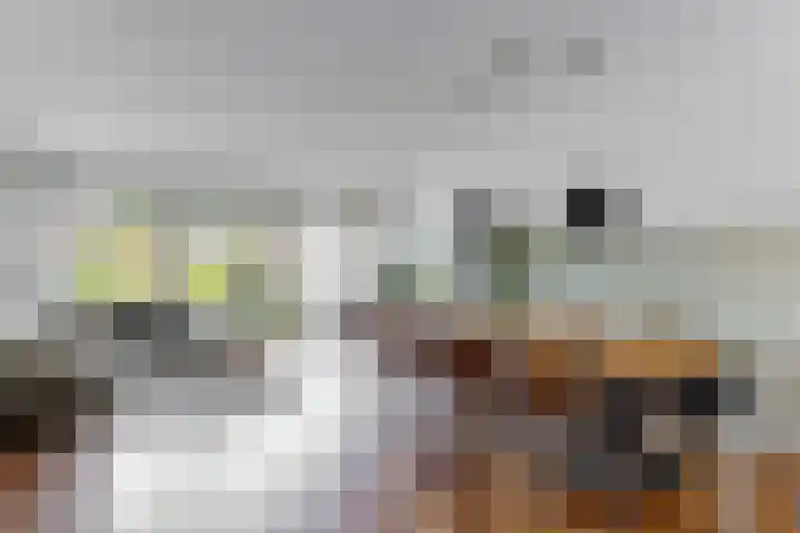 Obool 3 Leiderdorp thumbnail 7