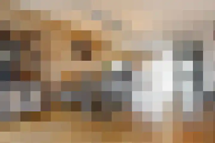 Obool 5 Leiderdorp thumbnail 10