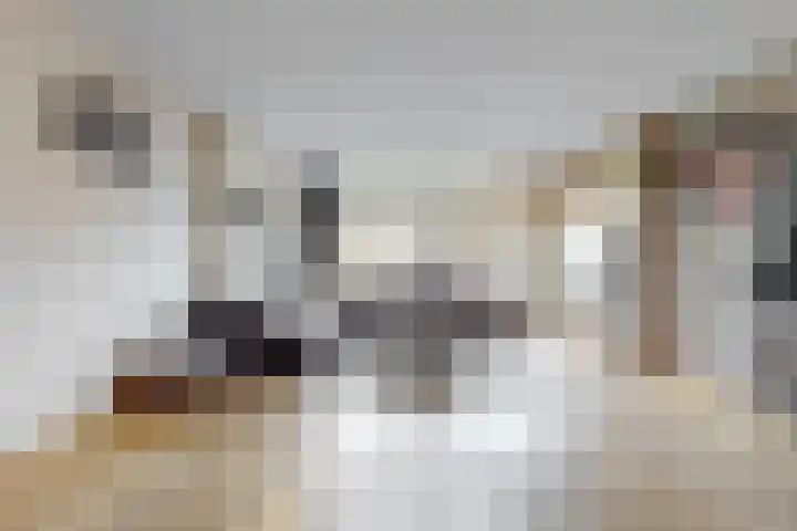 Obool 5 Leiderdorp thumbnail 12