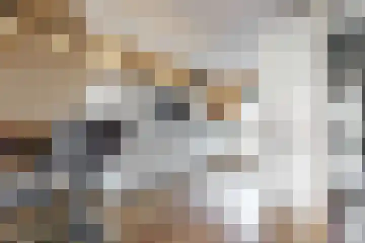 Obool 5 Leiderdorp thumbnail 13