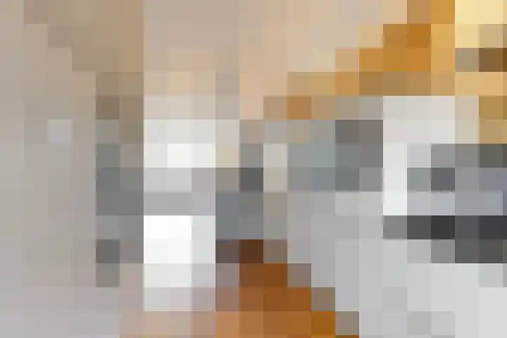 Obool 5 Leiderdorp thumbnail 16