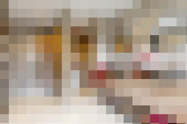 Obool 5 Leiderdorp thumbnail 22