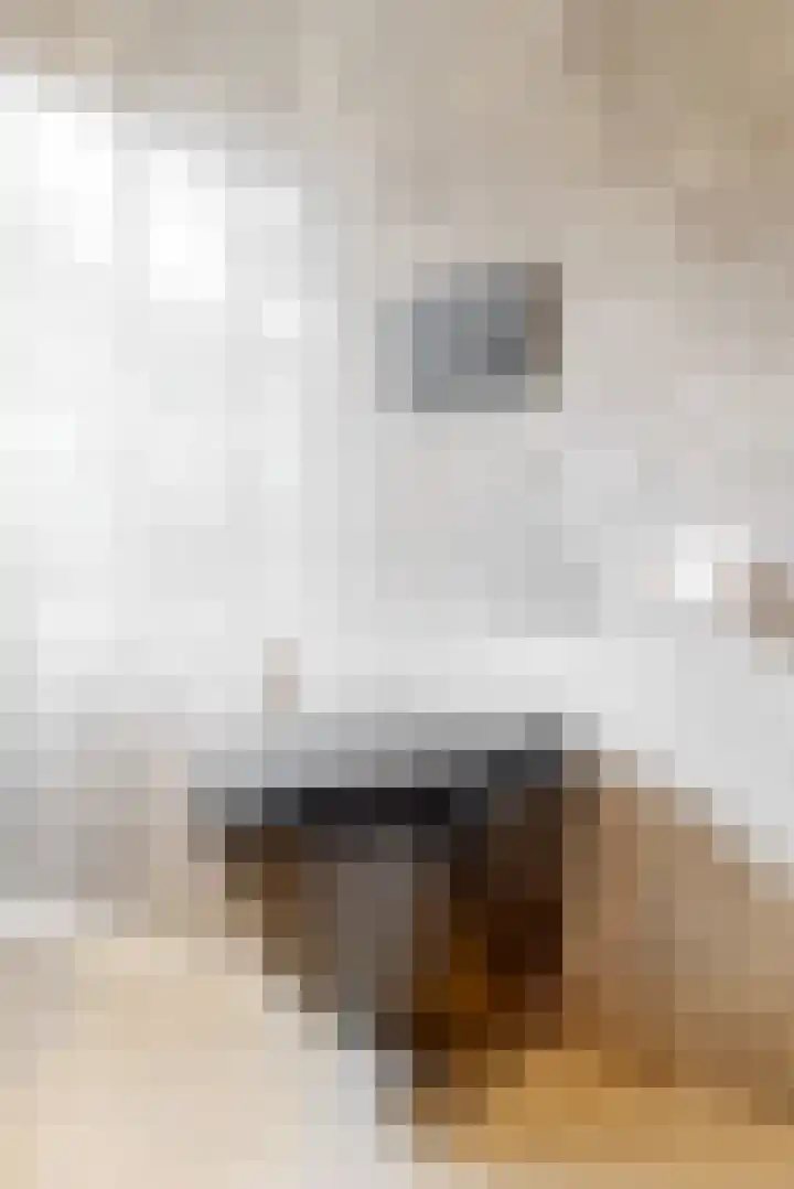 Obool 5 Leiderdorp thumbnail 25