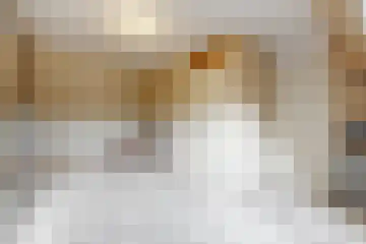 Obool 5 Leiderdorp thumbnail 33