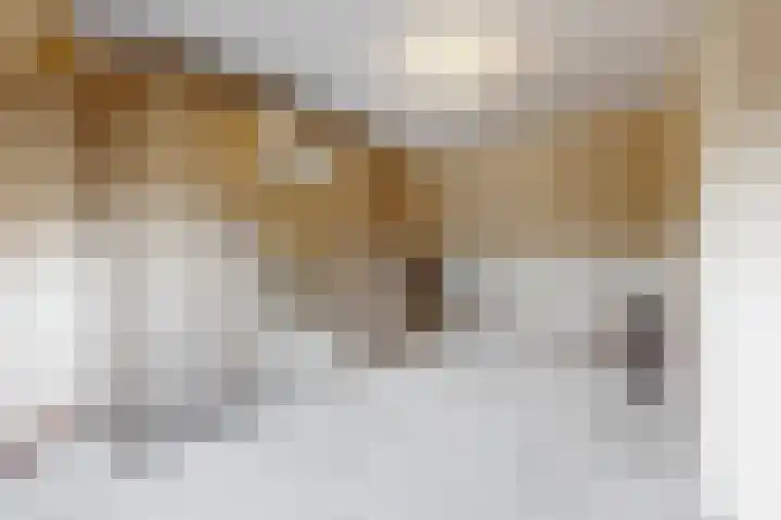 Obool 5 Leiderdorp thumbnail 34