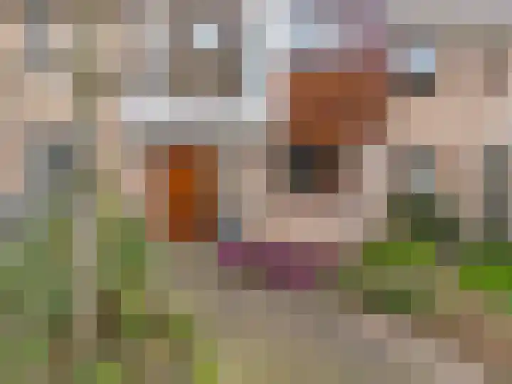 Obool 5 Leiderdorp thumbnail 43