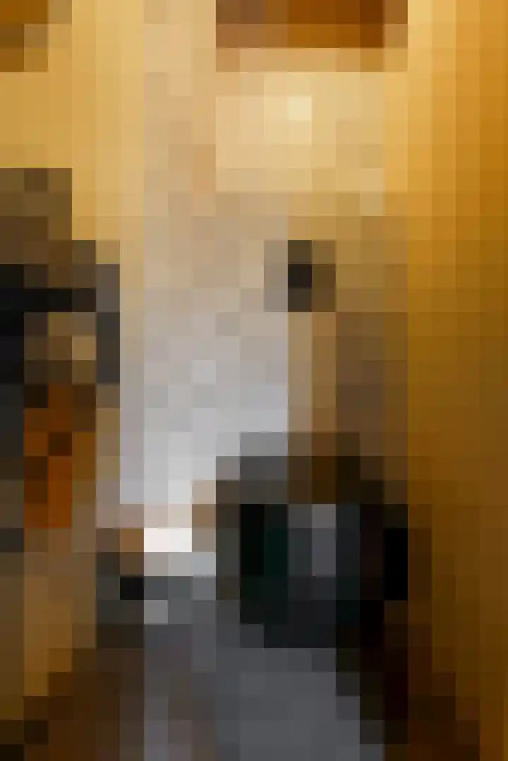 Obool 5 Leiderdorp thumbnail 7