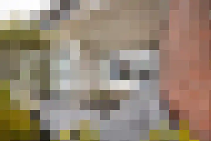 Obool 8 Leiderdorp thumbnail 19