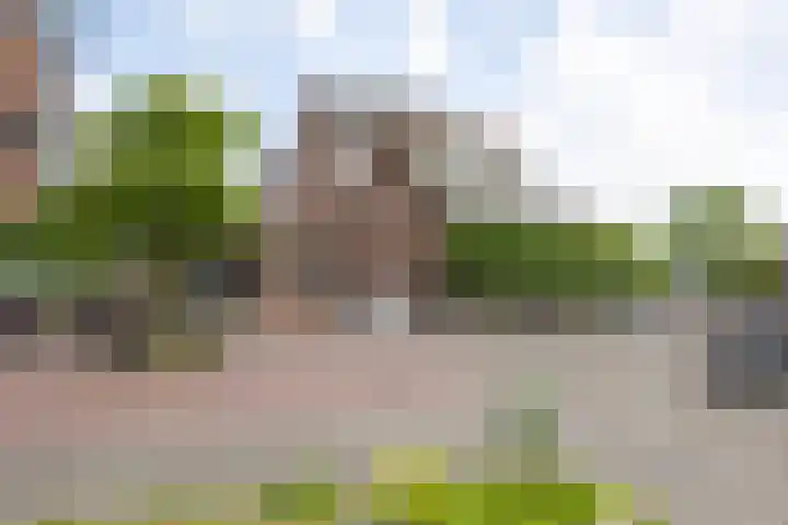 Obool 8 Leiderdorp thumbnail 23