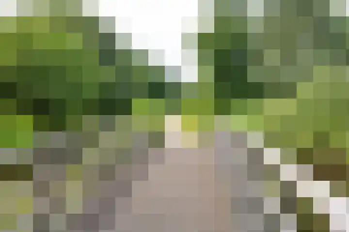 Obool 8 Leiderdorp thumbnail 26