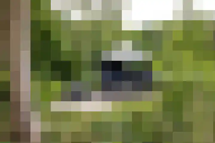 Obool 8 Leiderdorp thumbnail 27