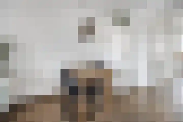 Obool 8 Leiderdorp thumbnail 7