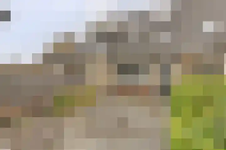 Obrecht 16 Monster thumbnail 17