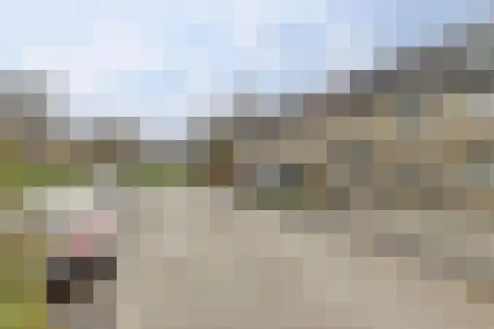Obrecht 16 Monster thumbnail 27