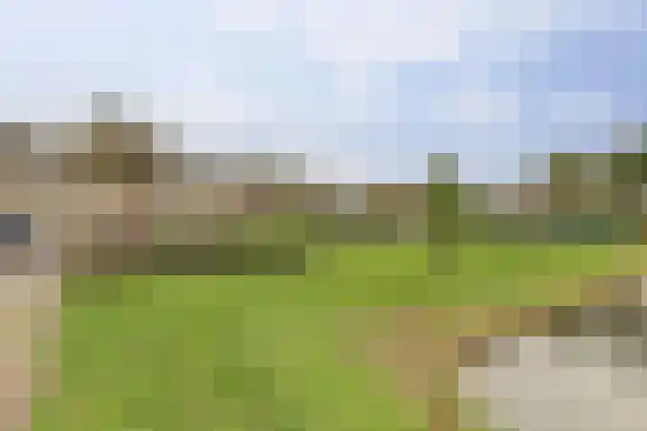 Obrecht 16 Monster thumbnail 28