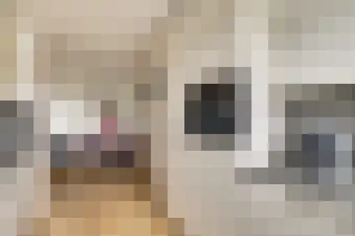 Obrecht 16 Monster thumbnail 8