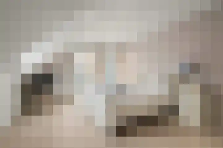Obrecht 9 Monster thumbnail 13