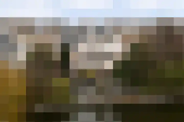 Obrecht 9 Monster thumbnail 39