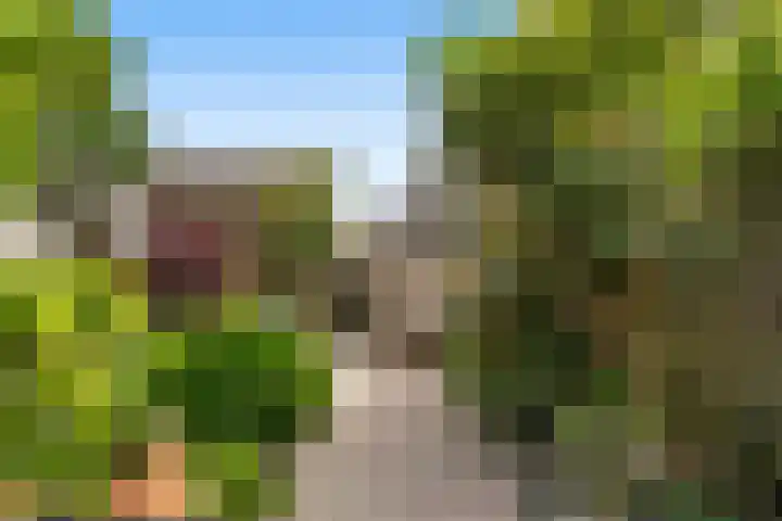 Obrecht 90 Monster thumbnail 13