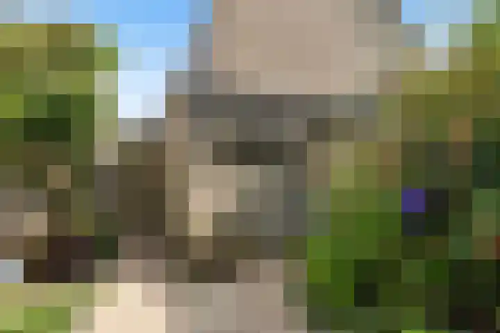Obrecht 90 Monster thumbnail 14