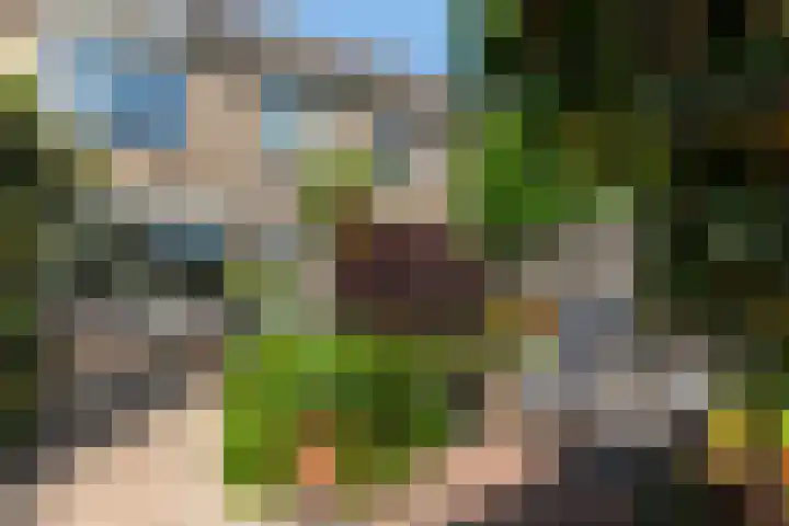 Obrecht 90 Monster thumbnail 15