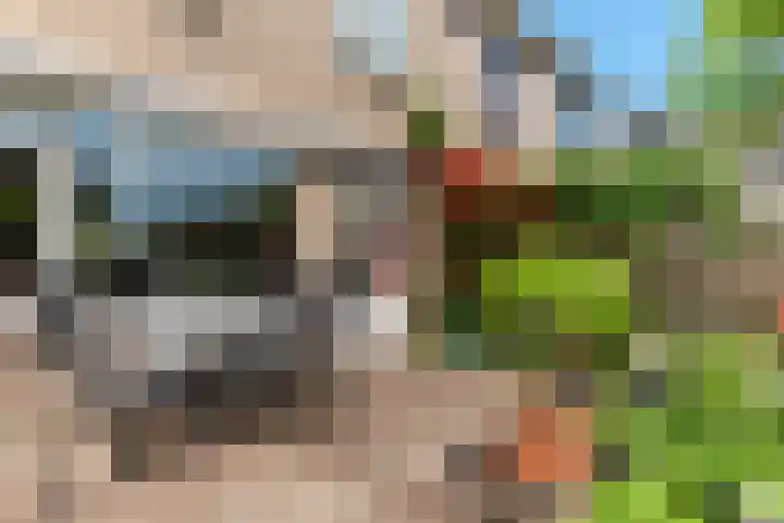 Obrecht 90 Monster thumbnail 17