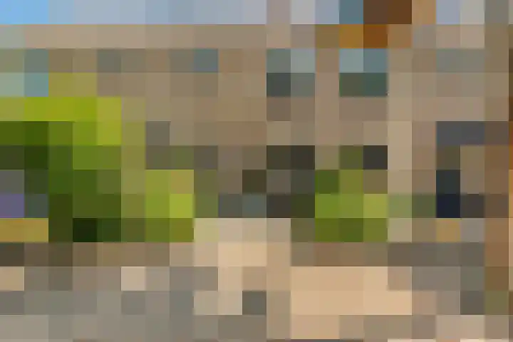 Obrecht 90 Monster thumbnail 39