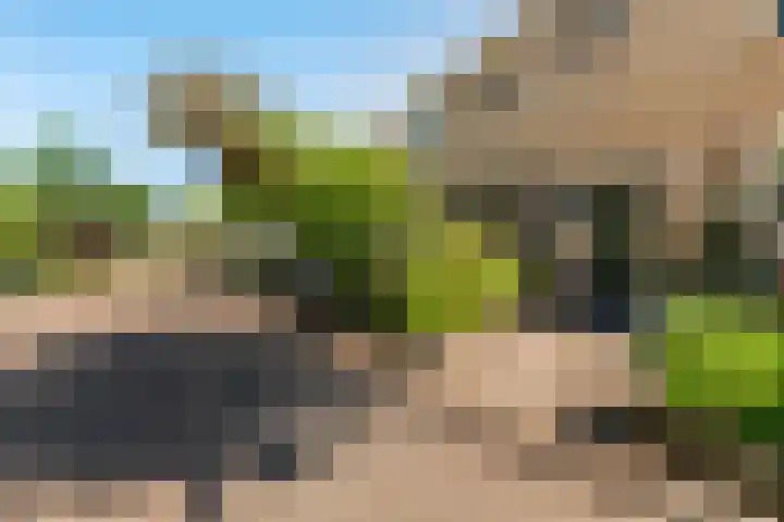 Obrecht 90 Monster thumbnail 40