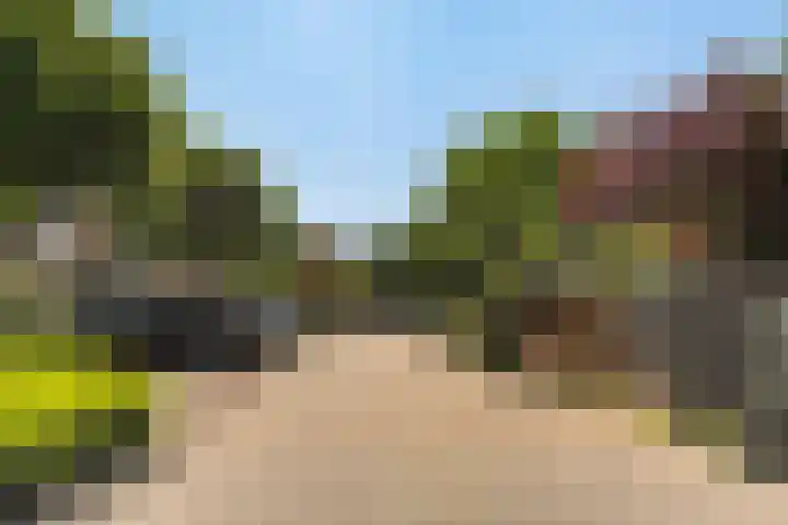 Obrecht 90 Monster thumbnail 43
