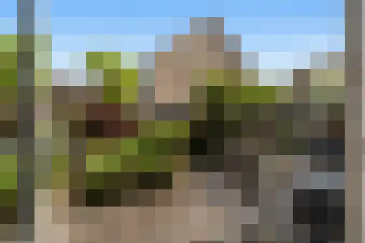 Obrecht 90 Monster thumbnail 6