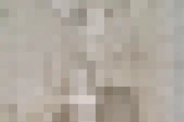 Obrechtlaan 9 Ede thumbnail 18