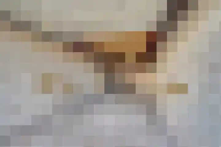 Obrechtlaan 9 Ede thumbnail 24