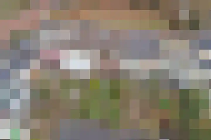 Obrechtlaan 9 Ede thumbnail 30