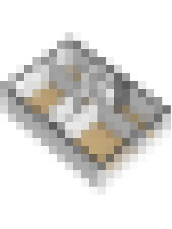 Obrechtlaan 9 Ede thumbnail 35