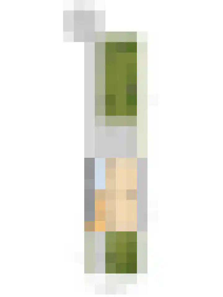 Obrechtlaan 9 Ede thumbnail 38