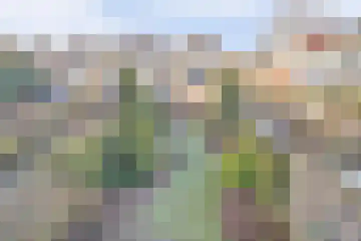 Obrechtlaan 9 Ede thumbnail 4