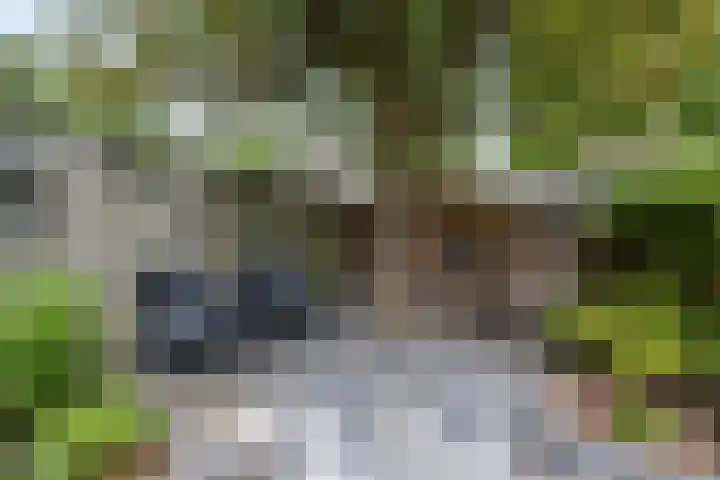 Obrechtstraat 59 Drunen thumbnail 27