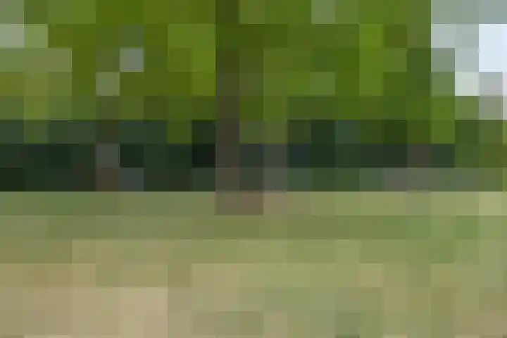 Obrechtstraat 59 Drunen thumbnail 33