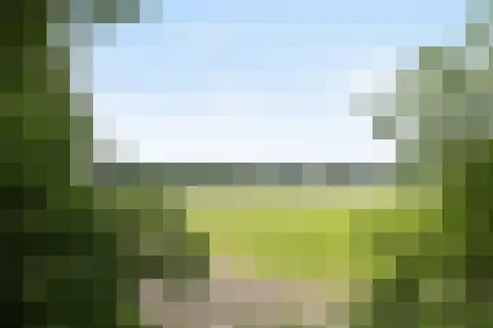 Obrechtstraat 59 Drunen thumbnail 36