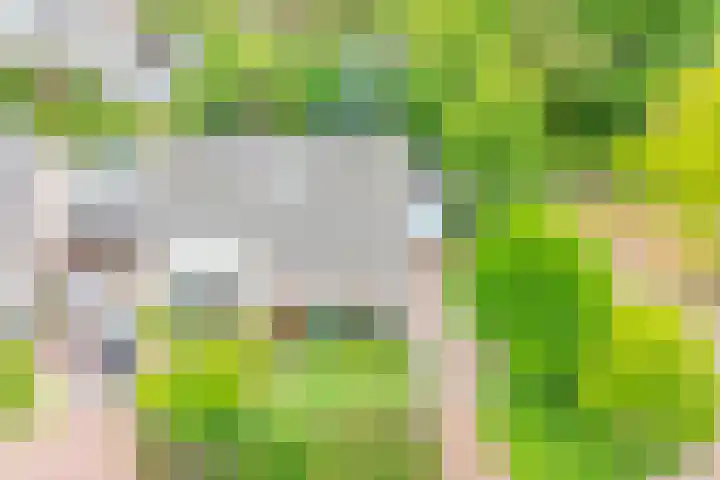 Obriglaan 17 Heiloo thumbnail 36
