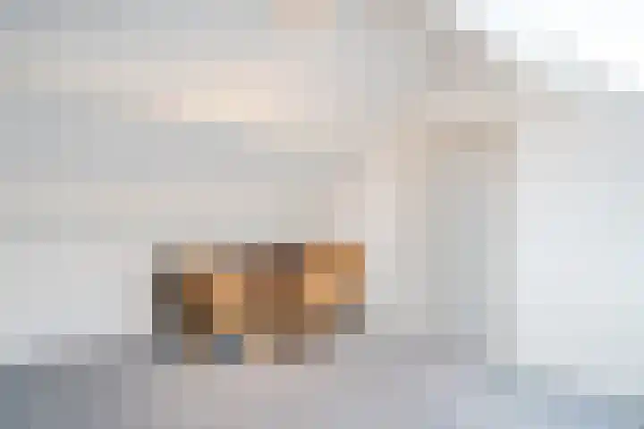 Obriglaan 41 Heiloo thumbnail 42