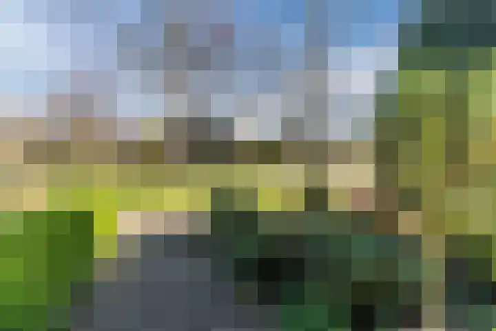 Obriglaan 41 Heiloo thumbnail 8