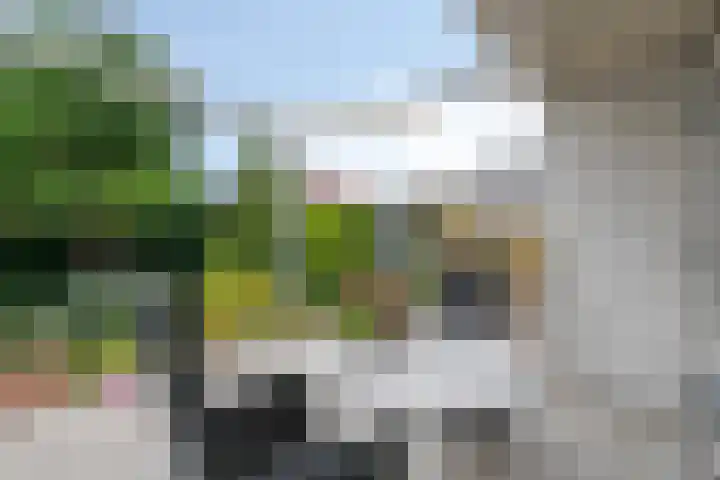 Ockenburg 7 Hillegom thumbnail 34