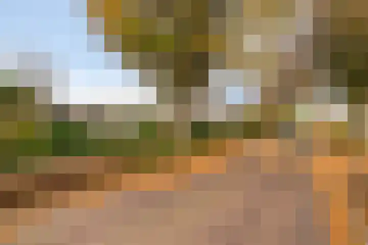 Ockenburg 7 Hillegom thumbnail 35