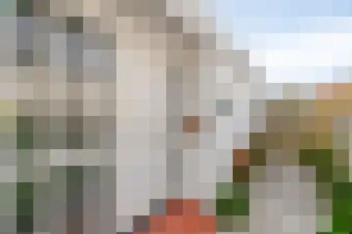 Ockenburg 7 Hillegom thumbnail 5
