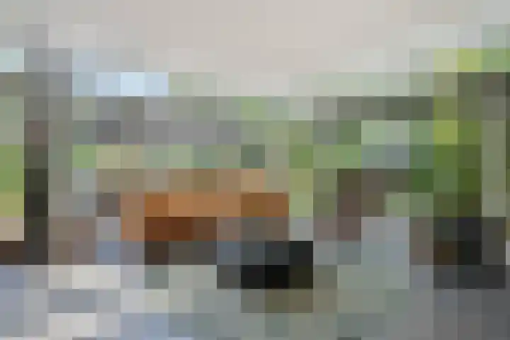 Ockenburghpark 11 Helmond thumbnail 4