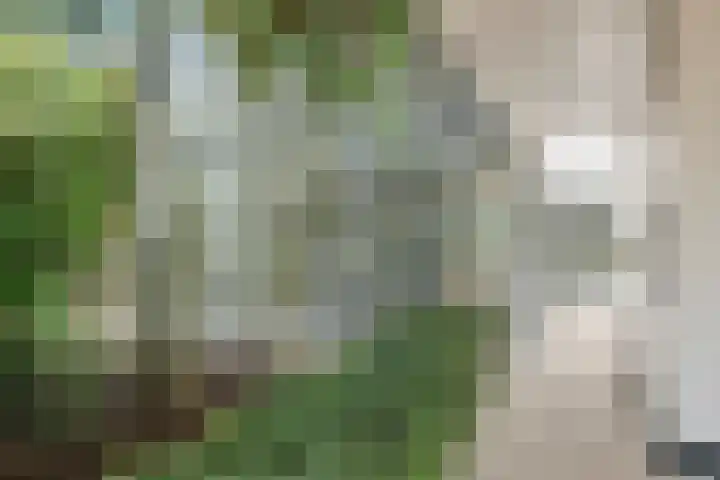 Ockenburghpark 11 Helmond thumbnail 7