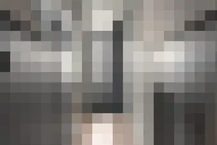 Ockingahiem 31 Franeker thumbnail 14