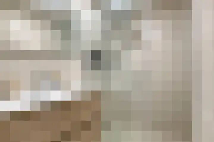 Octant 12 Dordrecht thumbnail 20